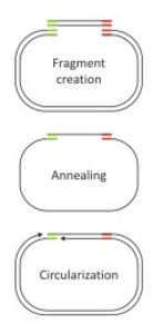 Fig. 1: Functionality of Ligase-free Cloning