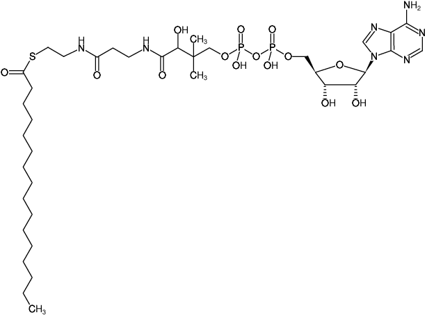 Structural formula of 3'-Dephospho-Palmitoyl-CoA (3'-Dephospho-Palmitoyl-Coenzym A, Triethylammonium salt)