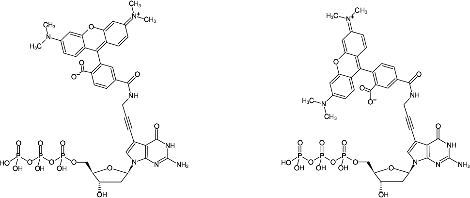 Structural formula of 7-Propargylamino-7-deaza-dGTP-5/6-TAMRA (7-Deaza-7-propargylamino-2'-deoxyguanosine-5'-triphosphate, labeled with 5/6-TAMRA, Triethylammonium salt)