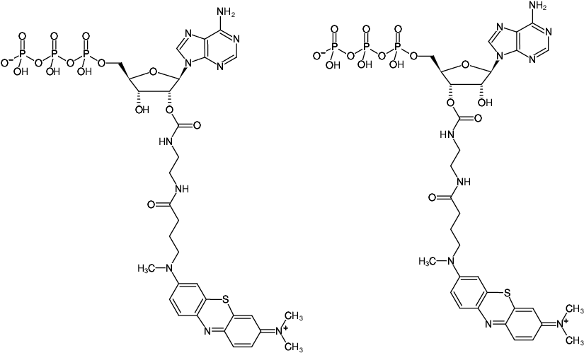 Structural formula of EDA-ATP-ATTO-MB2 (2'/3'-O-(2-Aminoethyl-carbamoyl)-Adenosine-5'-triphosphate, labeled with ATTO-MB2, Triethylammonium salt)