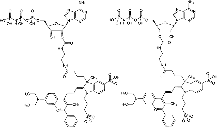 Structural formula of EDA-AppNHp (EDA-AMPPNP)-DYQ-661 (2'/3'-O-(2-Aminoethyl-carbamoyl)-Adenosine-5'-[(β,γ)-imido] triphosphate, labeled with DYQ 661, Triethylammonium salt)