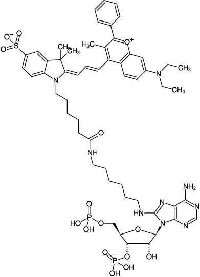 Structural formula of 8-(6-Aminohexyl)-amino-adenosine-3',5'-bisphosphate-DYQ-660 (8-(6-Aminohexyl)-amino-adenosine-3',5'-bisphosphate, labeled with DYQ 660, Triethylammonium salt)