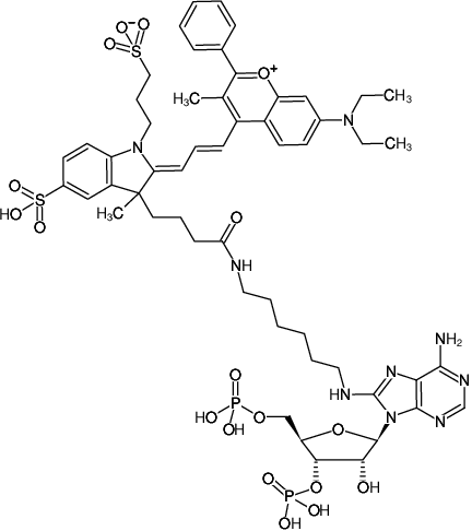 Structural formula of 8-(6-Aminohexyl)-amino-adenosine-3',5'-bisphosphate-DYQ-661 (8-(6-Aminohexyl)-amino-adenosine-3',5'-bisphosphate, labeled with DYQ 661, Triethylammonium salt)