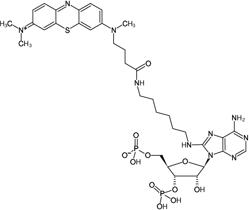 Structural formula of 8-(6-Aminohexyl)-amino-adenosine-3',5'-bisphosphate-ATTO-MB2 (8-(6-Aminohexyl)-amino-adenosine-3',5'-bisphosphate, labeled with ATTO-MB2, Triethylammonium salt)