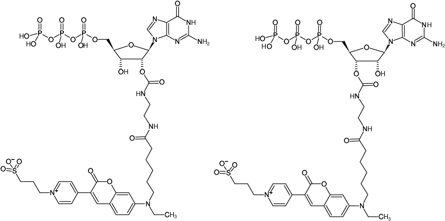 Structural formula of EDA-GTP-DY-485XL (2'/3'-O-(2-Aminoethyl-carbamoyl)-Guanosine-5'-triphosphate, labeled with DY 485XL, Triethylammonium salt)