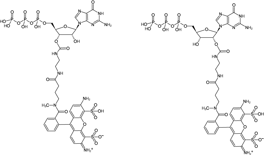 Structural formula of EDA-GTP-ATTO-488 (2'/3'-O-(2-Aminoethyl-carbamoyl)-Guanosine-5'-triphosphate, labeled with ATTO 488, Triethylammonium salt)