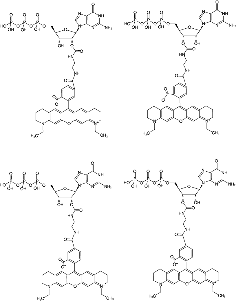 Structural formula of EDA-GTP-ATTO-565 (2'/3'-O-(2-Aminoethyl-carbamoyl)-Guanosine-5'-triphosphate, labeled with ATTO 565, Triethylammonium salt)