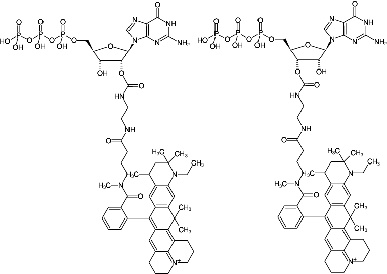 Structural formula of EDA-GTP-ATTO-647N (2'/3'-O-(2-Aminoethyl-carbamoyl)-Guanosine-5'-triphosphate, labeled with ATTO 647N, Triethylammonium salt)