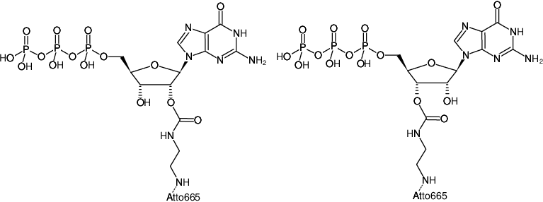 Structural formula of EDA-GTP-ATTO-665 (2'/3'-O-(2-Aminoethyl-carbamoyl)-Guanosine-5'-triphosphate, labeled with ATTO 665, Triethylammonium salt)