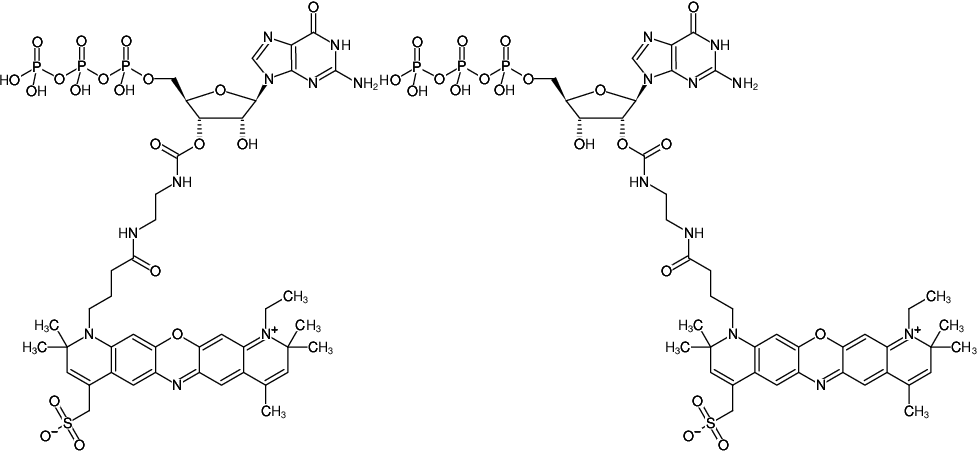 Structural formula of EDA-GTP-ATTO-700 (2'/3'-O-(2-Aminoethyl-carbamoyl)-Guanosine-5'-triphosphate, labeled with ATTO 700, Triethylammonium salt)