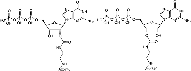 Structural formula of EDA-GTP-ATTO-740 (2'/3'-O-(2-Aminoethyl-carbamoyl)-Guanosine-5'-triphosphate, labeled with ATTO 740, Triethylammonium salt)