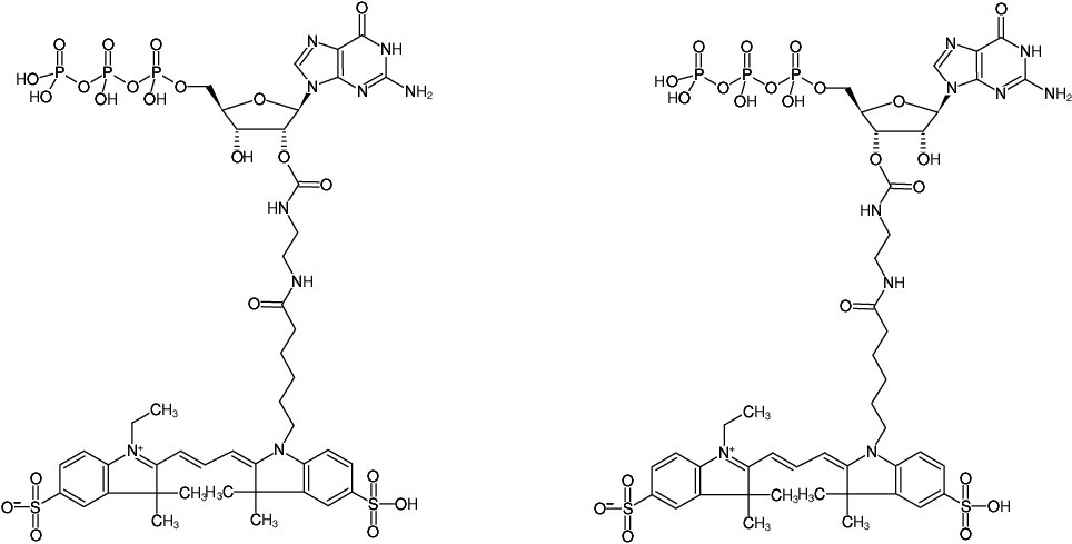 Structural formula of EDA-GTP-Cy3 (2'/3'-O-(2-Aminoethyl-carbamoyl)-Guanosine-5'-triphosphate, labeled with Cy3, Triethylammonium salt)