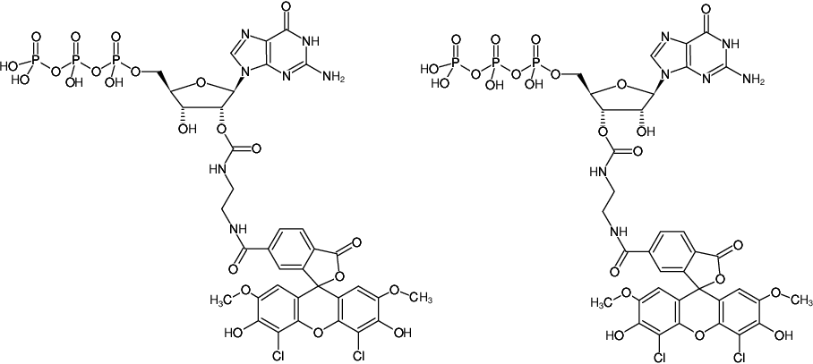 Structural formula of EDA-GTP-6-JOE (2'/3'-O-(2-Aminoethyl-carbamoyl)-Guanosine-5'-triphosphate, labeled with 6-JOE, Triethylammonium salt)