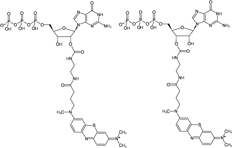 Structural formula of EDA-GTP-ATTO-MB2 (2'/3'-O-(2-Aminoethyl-carbamoyl)-Guanosine-5'-triphosphate, labeled with ATTO-MB2, Triethylammonium salt)