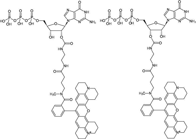 Structural formula of EDA-GTP-ATTO-Rho101 (2'/3'-O-(2-Aminoethyl-carbamoyl)-Guanosine-5'-triphosphate, labeled with ATTO Rho101, Triethylammonium salt)