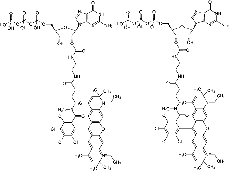 Structural formula of EDA-GTP-ATTO-Rho14 (2'/3'-O-(2-Aminoethyl-carbamoyl)-Guanosine-5'-triphosphate, labeled with ATTO Rho14, Triethylammonium salt)