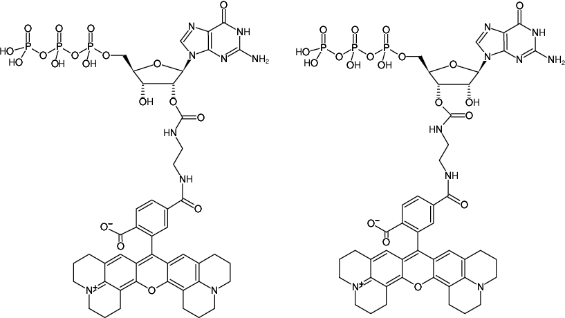 Structural formula of EDA-GTP-6-ROX (2'/3'-O-(2-Aminoethyl-carbamoyl)-Guanosine-5'-triphosphate, labeled with 6-ROX, Triethylammonium salt)