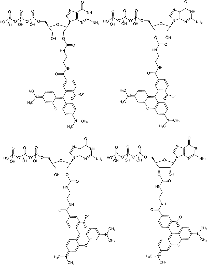 Structural formula of EDA-GTP-5/6-TAMRA (2'/3'-O-(2-Aminoethyl-carbamoyl)-Guanosine-5'-triphosphate, labeled with 5/6-TAMRA, Triethylammonium salt)