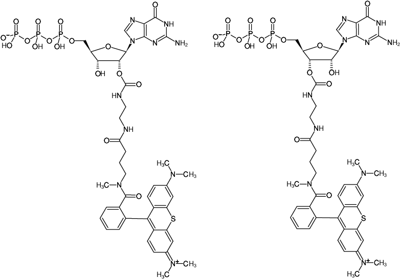 Structural formula of EDA-GTP-ATTO-Thio12 (2'/3'-O-(2-Aminoethyl-carbamoyl)-Guanosine-5'-triphosphate, labeled with ATTO Thio12, Triethylammonium salt)