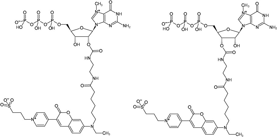 Structural formula of EDA-m7GTP-DY-485XL (2'/3'-O-(2-Aminoethyl-carbamoyl)-7-methyl-guanosine-5'-triphosphate, labeled with DY 485XL, Triethylammonium salt)