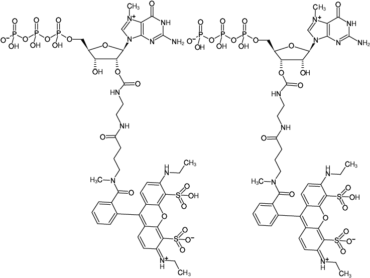 Structural formula of EDA-m7GTP-ATTO-532 (2'/3'-O-(2-Aminoethyl-carbamoyl)-7-methyl-guanosine-5'-triphosphate, labeled with ATTO 532, Triethylammonium salt)