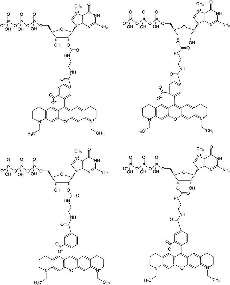 Structural formula of EDA-m7GTP-ATTO-565 (2'/3'-O-(2-Aminoethyl-carbamoyl)-7-methyl-guanosine-5'-triphosphate, labeled with ATTO 565, Triethylammonium salt)