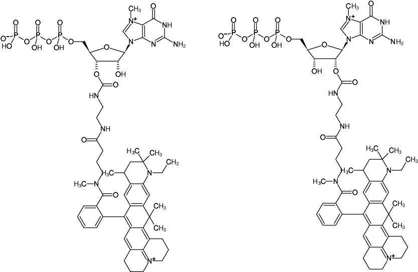 Structural formula of EDA-m7GTP-ATTO-647N (2'/3'-O-(2-Aminoethyl-carbamoyl)-7-methyl-guanosine-5'-triphosphate, labeled with ATTO 647N, Triethylammonium salt)