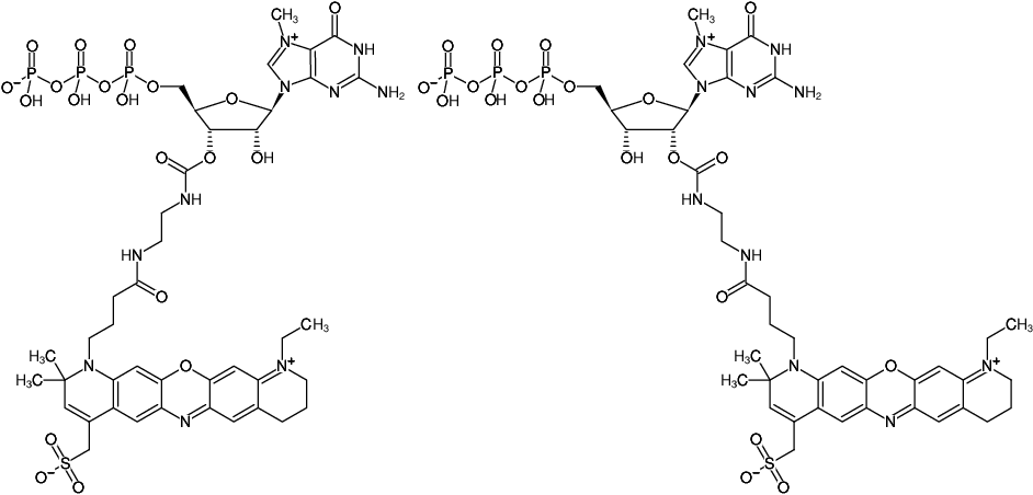 Structural formula of EDA-m7GTP-ATTO-680 (2'/3'-O-(2-Aminoethyl-carbamoyl)-7-methyl-guanosine-5'-triphosphate, labeled with ATTO 680, Triethylammonium salt)