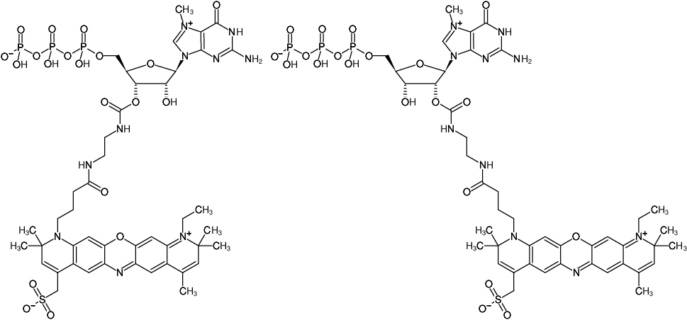 Structural formula of EDA-m7GTP-ATTO-700 (2'/3'-O-(2-Aminoethyl-carbamoyl)-7-methyl-guanosine-5'-triphosphate, labeled with ATTO 700, Triethylammonium salt)