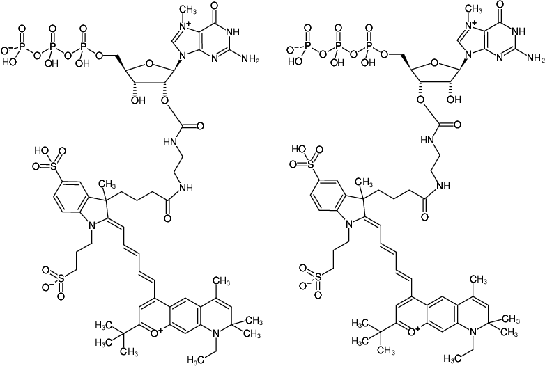 Structural formula of EDA-m7GTP-DY-751 (2'/3'-O-(2-Aminoethyl-carbamoyl)-7-methyl-guanosine-5'-triphosphate, labeled with DY 751, Triethylammonium salt)