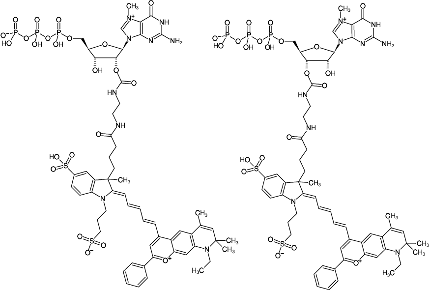 Structural formula of EDA-m7GTP-DY-776 (2'/3'-O-(2-Aminoethyl-carbamoyl)-7-methyl-guanosine-5'-triphosphate, labeled with DY 776, Triethylammonium salt)