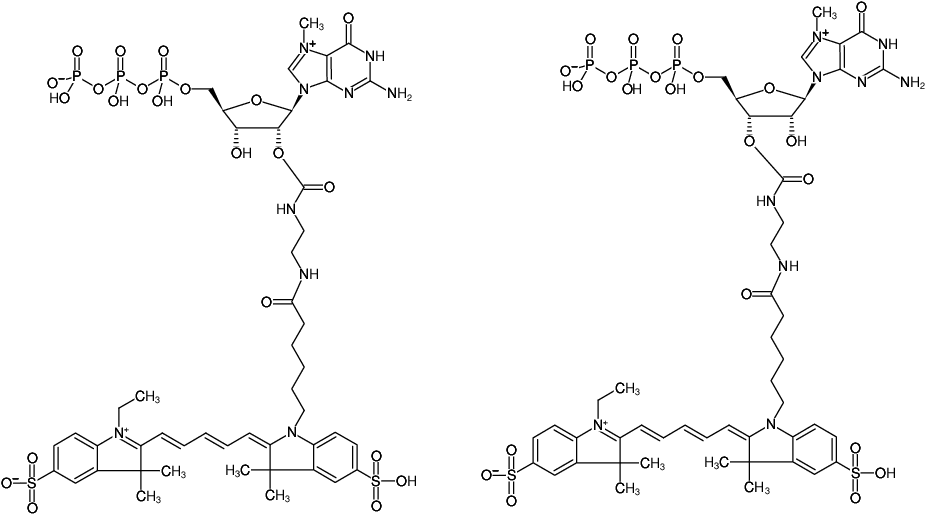 Structural formula of EDA-m7GTP-Cy5 (2'/3'-O-(2-Aminoethyl-carbamoyl)-7-methyl-guanosine-5'-triphosphate, labeled with Cy5, Triethylammonium salt)