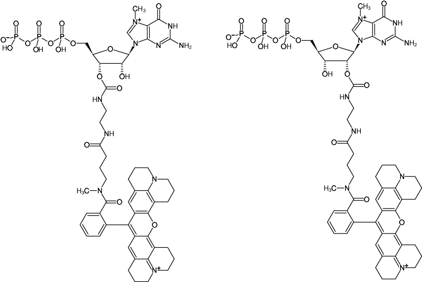 Structural formula of EDA-m7GTP-ATTO-Rho101 (2'/3'-O-(2-Aminoethyl-carbamoyl)-7-methyl-guanosine-5'-triphosphate, labeled with ATTO Rho101, Triethylammonium salt)