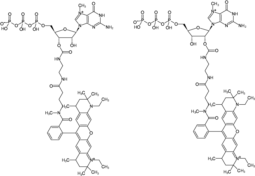 Structural formula of EDA-m7GTP-ATTO-Rho12 (2'/3'-O-(2-Aminoethyl-carbamoyl)-7-methyl-guanosine-5'-triphosphate, labeled with ATTO Rho12, Triethylammonium salt)