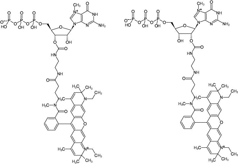 Structural formula of EDA-m7GTP-ATTO-Rho13 (2'/3'-O-(2-Aminoethyl-carbamoyl)-7-methyl-guanosine-5'-triphosphate, labeled with ATTO Rho13, Triethylammonium salt)