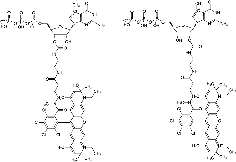 Structural formula of EDA-m7GTP-ATTO-Rho14 (2'/3'-O-(2-Aminoethyl-carbamoyl)-7-methyl-guanosine-5'-triphosphate, labeled with ATTO Rho14, Triethylammonium salt)