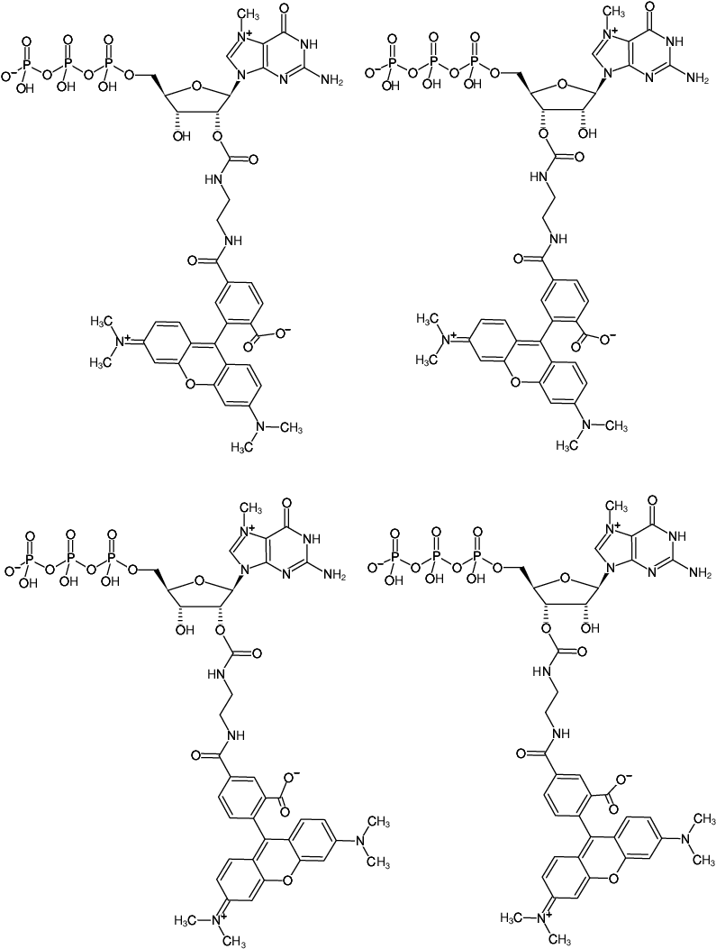 Structural formula of EDA-m7GTP-5/6-TAMRA (2'/3'-O-(2-Aminoethyl-carbamoyl)-7-methyl-guanosine-5'-triphosphate, labeled with 5/6-TAMRA, Triethylammonium salt)