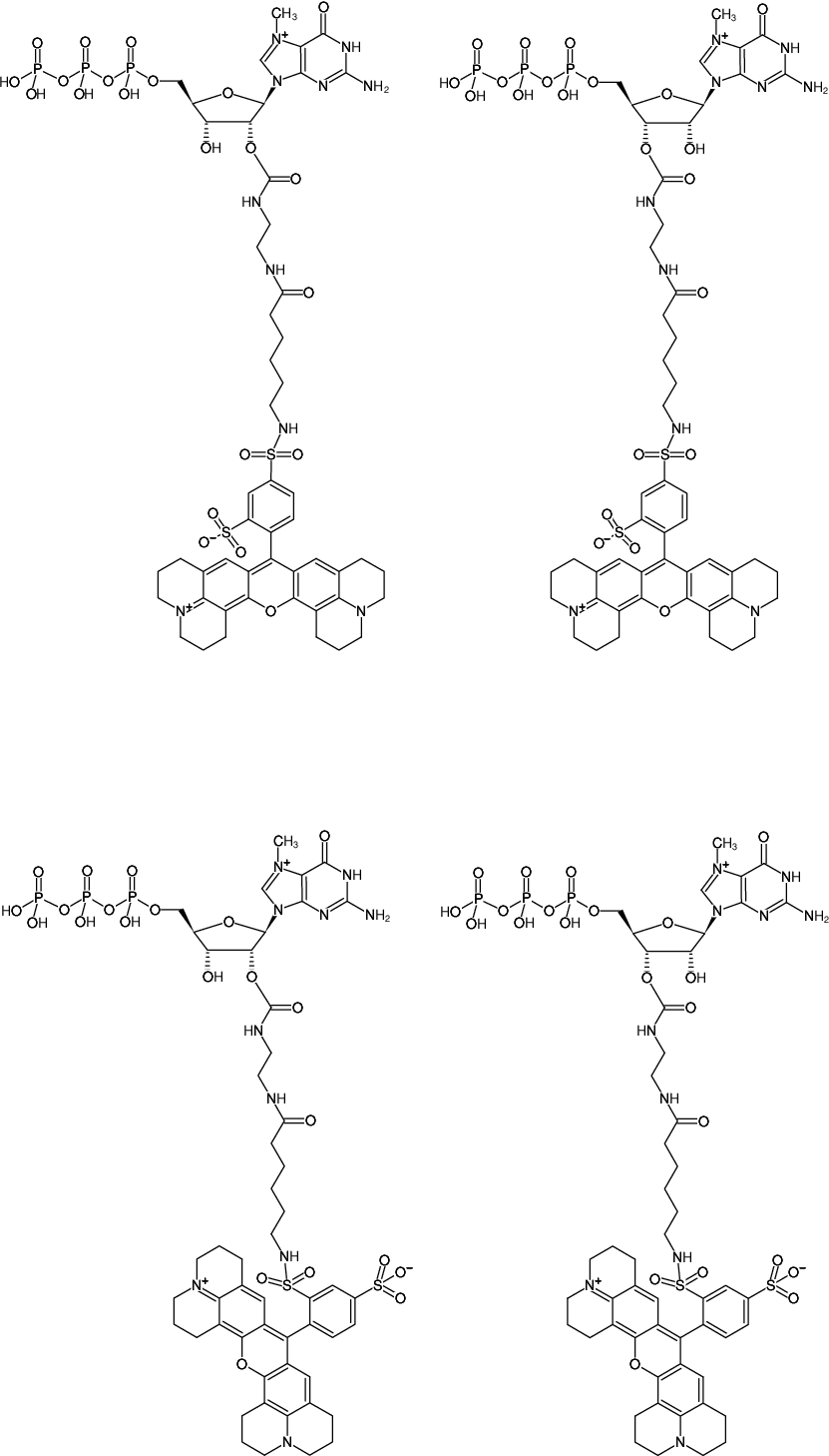 Structural formula of EDA-m7GTP-Texas Red (2'/3'-O-(2-Aminoethyl-carbamoyl)-7-methyl-guanosine-5'-triphosphate, labeled with Texas Red, Triethylammonium salt)