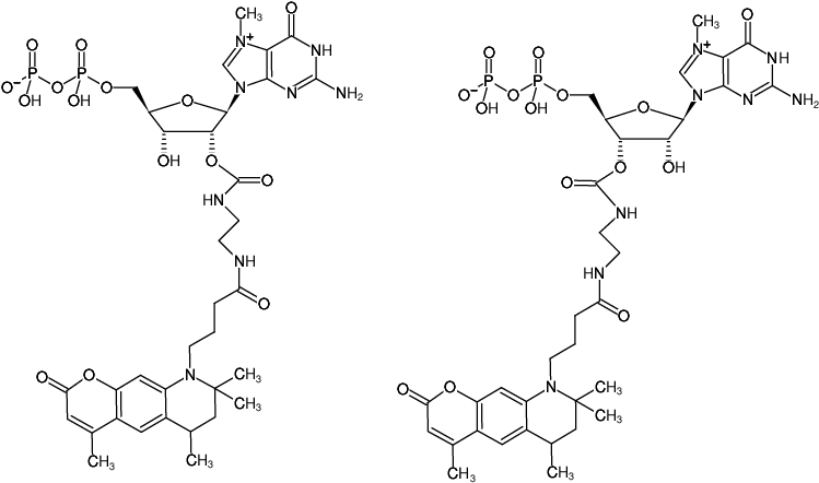 Structural formula of EDA-m7GDP-ATTO-390 (2'/3'-O-(2-Aminoethyl-carbamoyl)-7-methyl-guanosine-5'-diphosphate, labeled with ATTO 390, Triethylammonium salt)