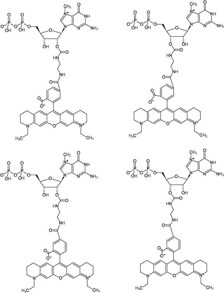 Structural formula of EDA-m7GDP-ATTO-565 (2'/3'-O-(2-Aminoethyl-carbamoyl)-7-methyl-guanosine-5'-diphosphate, labeled with ATTO 565)