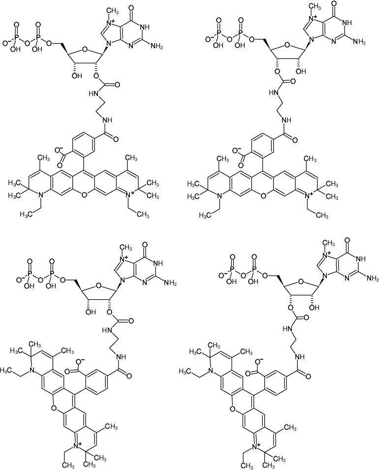 Structural formula of EDA-m7GDP-ATTO-590 (2'/3'-O-(2-Aminoethyl-carbamoyl)-7-methyl-guanosine-5'-diphosphate, labeled with ATTO 590)