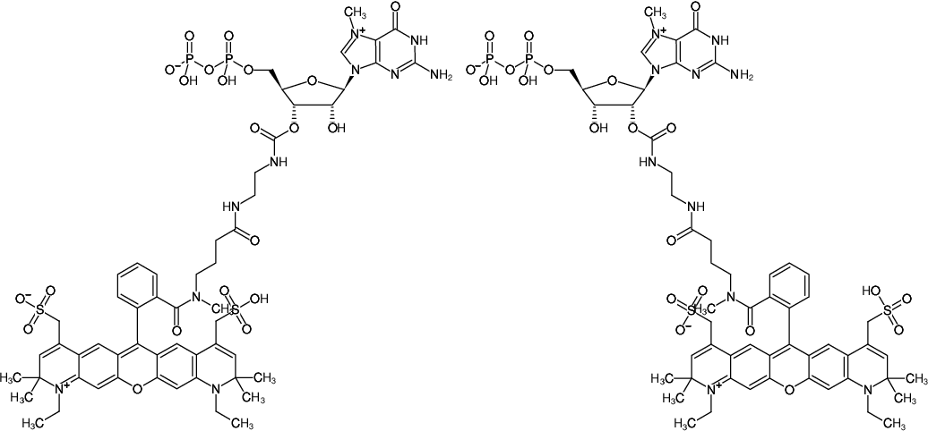 Structural formula of EDA-m7GDP-ATTO-594 (2'/3'-O-(2-Aminoethyl-carbamoyl)-7-methyl-guanosine-5'-diphosphate, labeled with ATTO 594, Triethylammonium salt)