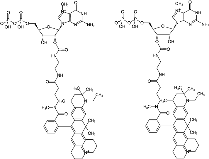 Structural formula of EDA-m7GDP-ATTO-647N (2'/3'-O-(2-Aminoethyl-carbamoyl)-7-methyl-guanosine-5'-diphosphate, labeled with ATTO 647N, Triethylammonium salt)