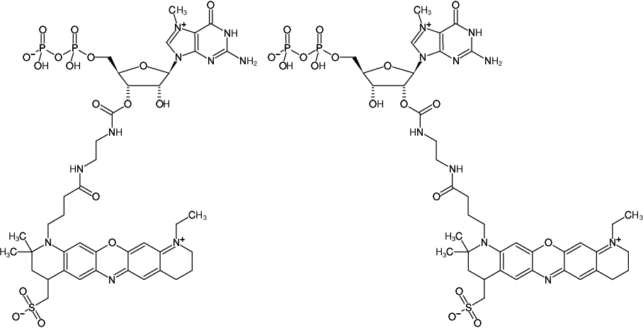 Structural formula of EDA-m7GDP-ATTO-655 (2'/3'-O-(2-Aminoethyl-carbamoyl)-7-methyl-guanosine-5'-diphosphate, labeled with ATTO 655, Triethylammonium salt)