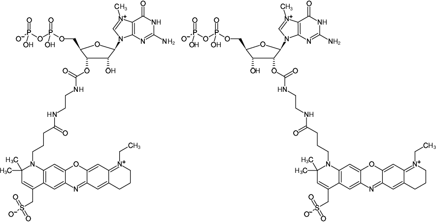 Structural formula of EDA-m7GDP-ATTO-680 (2'/3'-O-(2-Aminoethyl-carbamoyl)-7-methyl-guanosine-5'-diphosphate, labeled with ATTO 680, Triethylammonium salt)