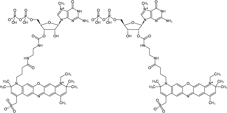 Structural formula of EDA-m7GDP-ATTO-700 (2'/3'-O-(2-Aminoethyl-carbamoyl)-7-methyl-guanosine-5'-diphosphate, labeled with ATTO 700, Triethylammonium salt)