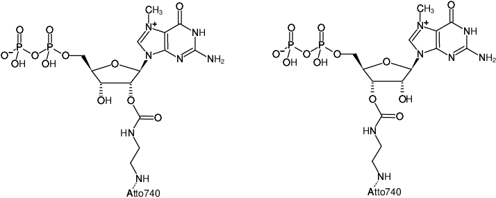 Structural formula of EDA-m7GDP-ATTO-740 (2'/3'-O-(2-Aminoethyl-carbamoyl)-7-methyl-guanosine-5'-diphosphate, labeled with ATTO 740, Triethylammonium salt)