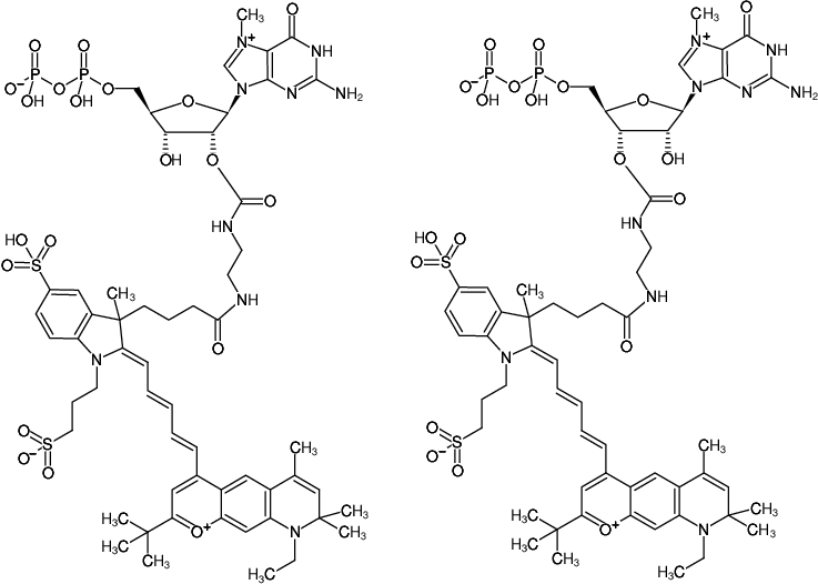 Structural formula of EDA-m7GDP-DY-751 (2'/3'-O-(2-Aminoethyl-carbamoyl)-7-methyl-guanosine-5'-diphosphate, labeled with DY 751, Triethylammonium salt)