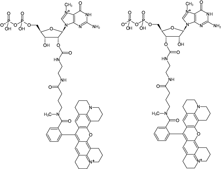 Structural formula of EDA-m7GDP-ATTO-Rho101 (2'/3'-O-(2-Aminoethyl-carbamoyl)-7-methyl-guanosine-5'-diphosphate, labeled with ATTO Rho101, Triethylammonium salt)