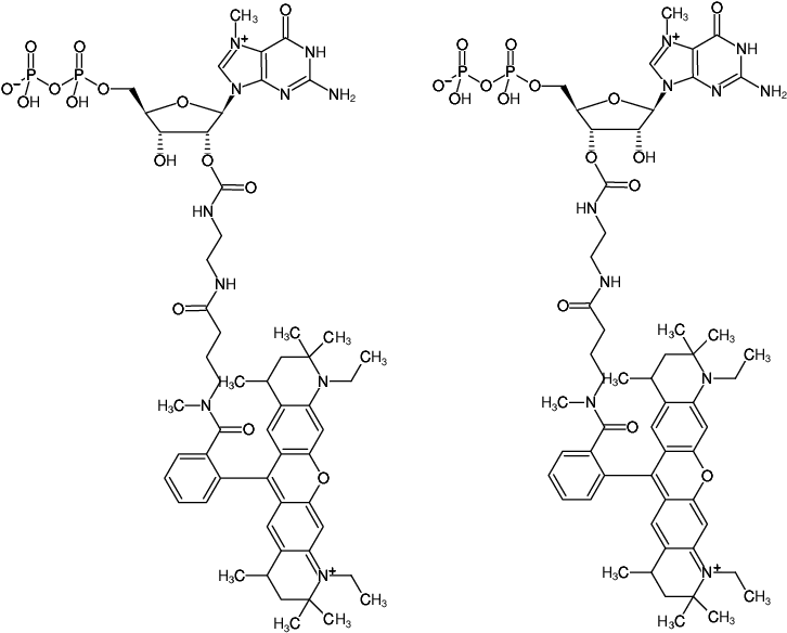 Structural formula of EDA-m7GDP-ATTO-Rho12 (2'/3'-O-(2-Aminoethyl-carbamoyl)-7-methyl-guanosine-5'-diphosphate, labeled with ATTO Rho12, Triethylammonium salt)